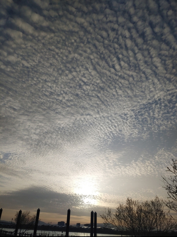 Screenshot_20220630-103209_Gallery.jpg