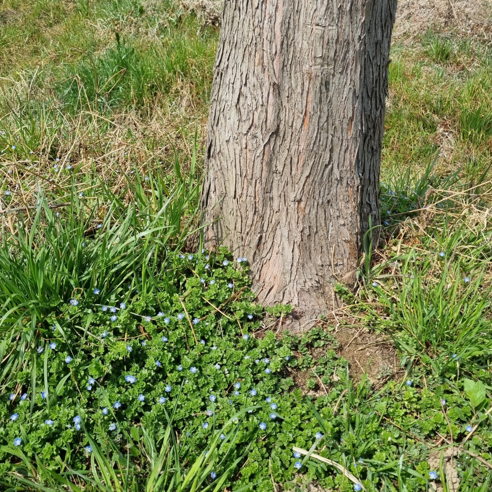 20220324_134251.jpg