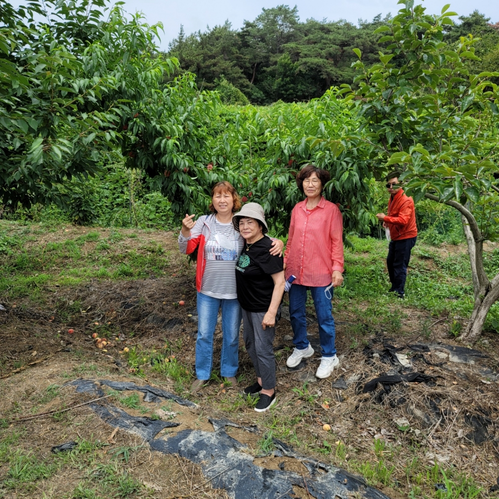 KakaoTalk_20220627_202802203_02.jpg