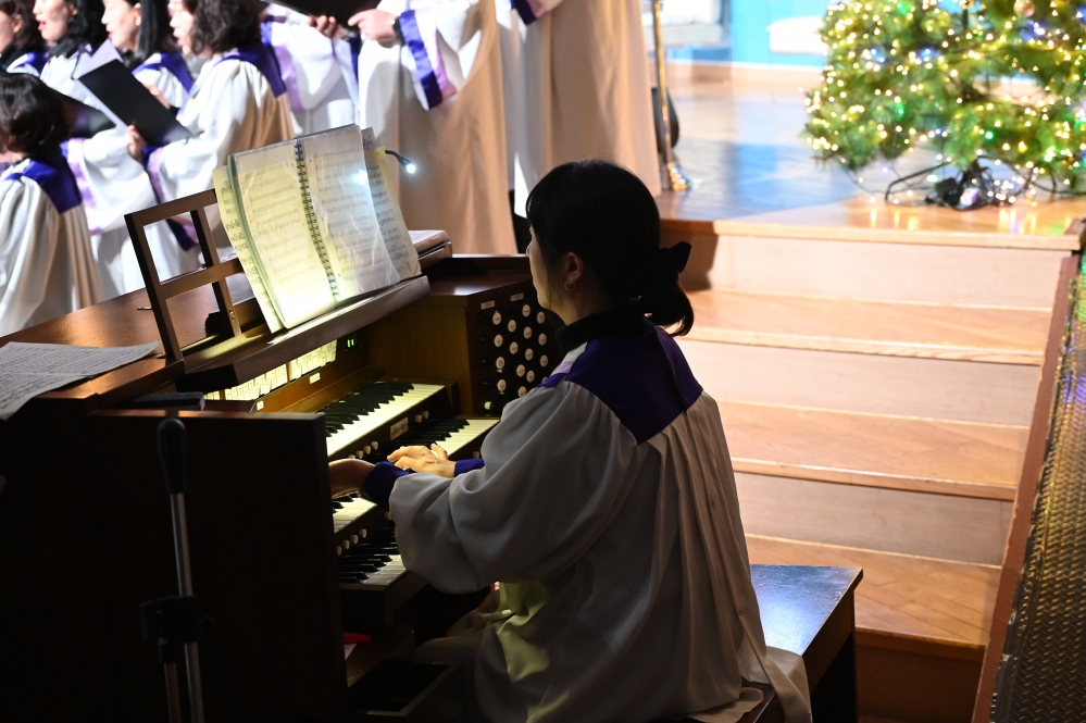 DSC_3908.JPG